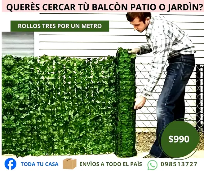 Enredadera de Jardín de hojas verdes - foto 3