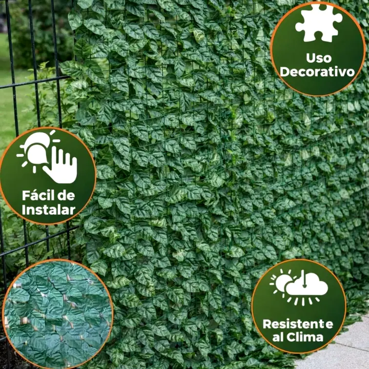 Enredadera de Jardín de hojas verdes - foto 4