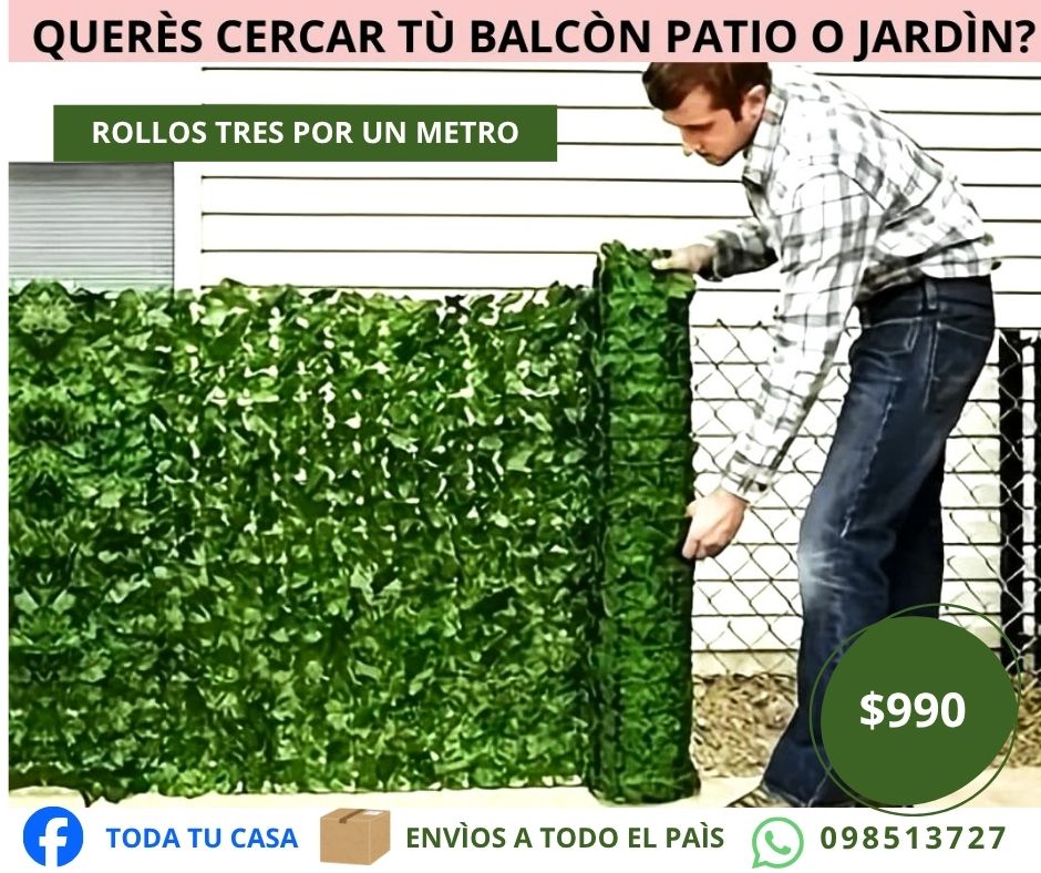 Enredadera de Jardín de hojas verdes - foto 3