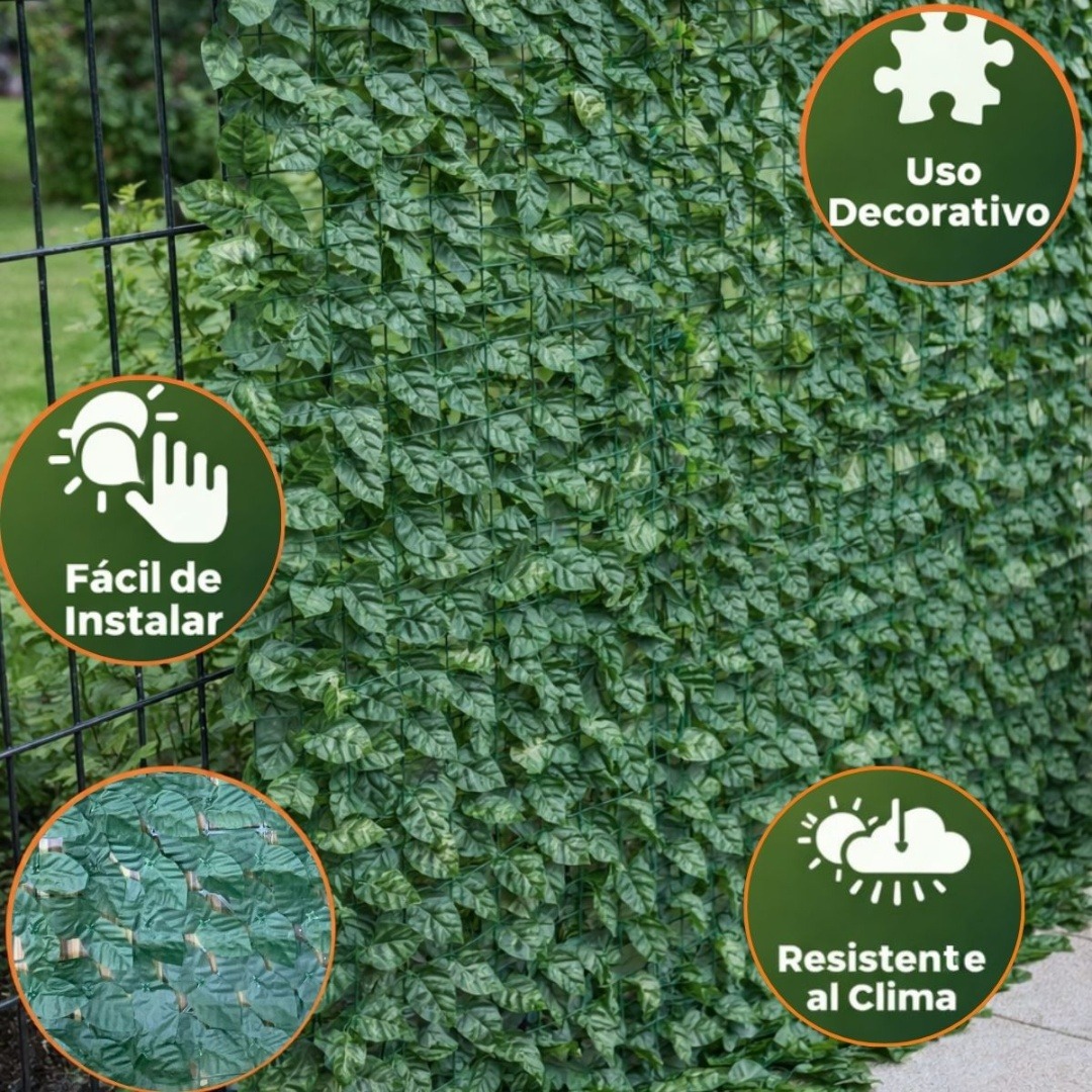 Enredadera de Jardín de hojas verdes - foto 4